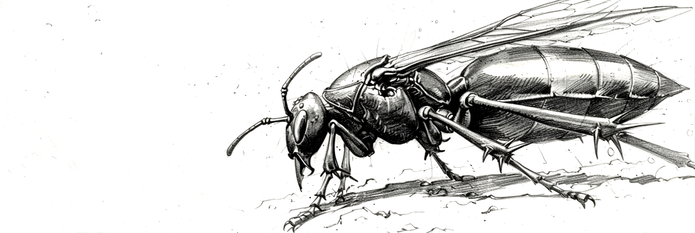 Tundrum Wasp